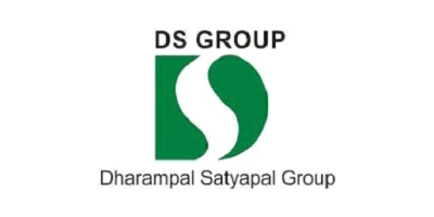 Ds Group Logo