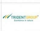 Trident group logo