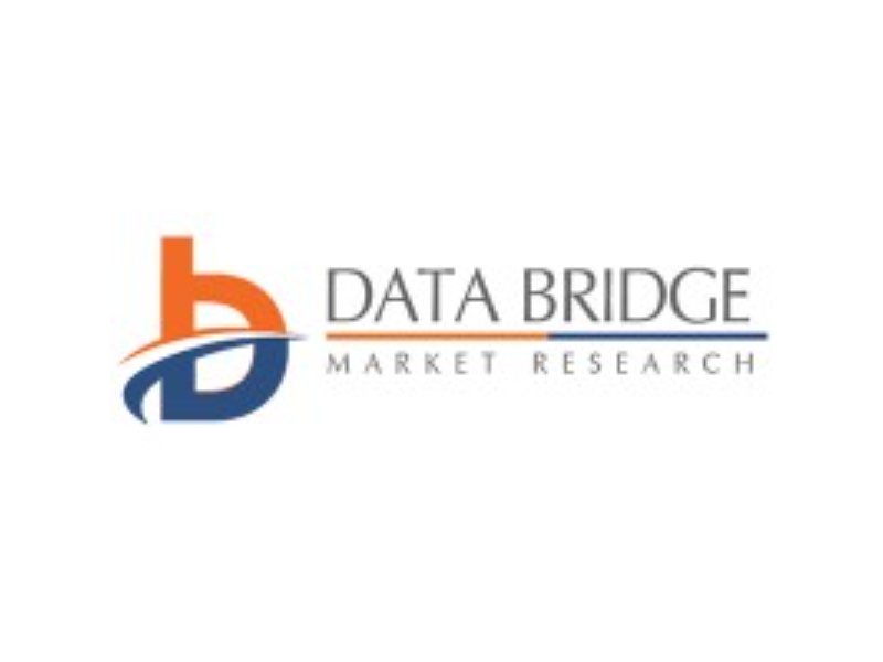 Data Bridge Logo